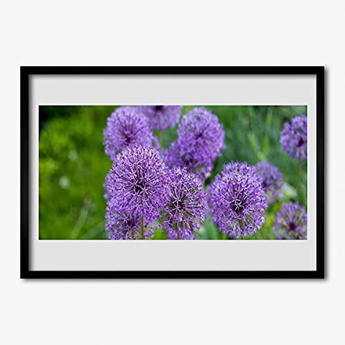 Fleurs violettes prairies sur affiche encadrée 70x50 cm chic Tulup