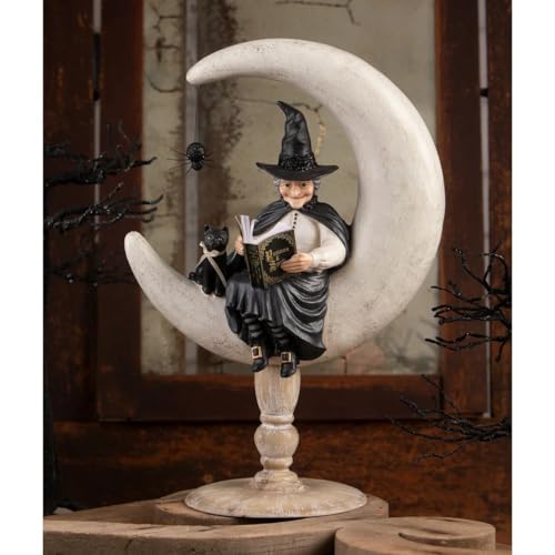 Moira Witch TD4143 Bethany Lowe - Figurine de Collection Prestige - 2