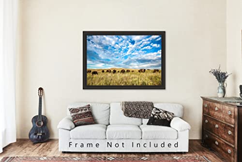 Western Photography Print (Not Framed) Picture Of Buffalo Herd Under Big Blue Sky On Tallgrass Prairie In Oklahoma Bison Wall Art Wildlife Decor (40" X 60") #TOP4