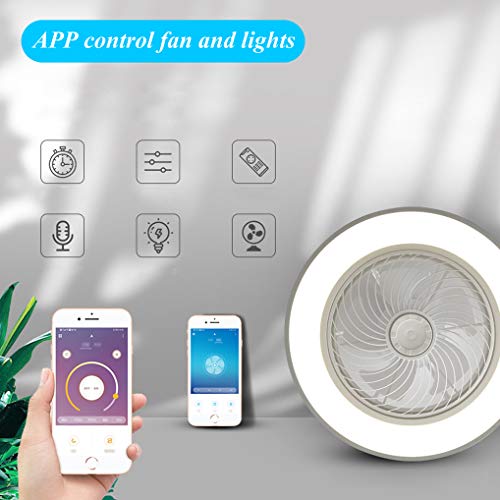 LANMOU Ventilatore da Soffitto con Lampada, 72W