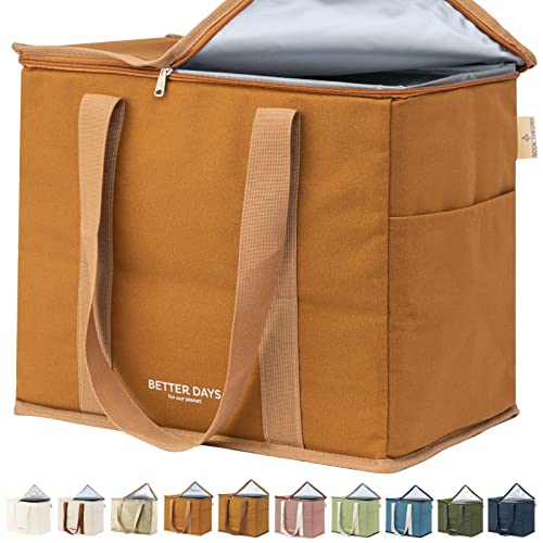 Top 10 Best Cooler For Grocery Shopping Reviews & Buying Guide Katynel