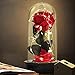 Produktbild Die Schöne und das Biest Rose Geschenk Kit, rote Seide Rose und LED-Licht mit gefallenen Blütenblättern Geschenke für Hauptdekor Geburtstag, Hochzeit, Valentinstag, Muttertag, Jubiläum, Weihnachtstag