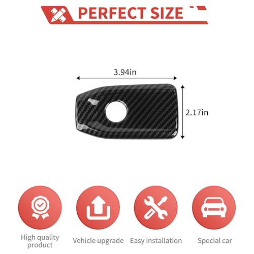 Panel Protector Co-Pilot Carbon Fiber miniatura 3