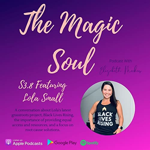 A Conversation about Black Lives Rising with Lola Small cover art