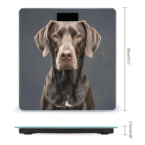 Báscula Digital Dalmatian para Baño con Vidrio Templado miniatura 2