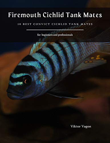 Firemouth Cichlid Tank Mates: 10 Best Convict Cichlid Tank Mates