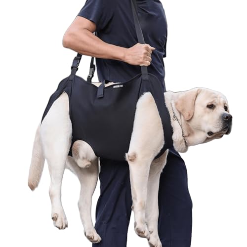 IUOUTG L[XO,nhtt{fBtgn[lX,ybgT|[gXO̊֐߉̂߂̒߉\ȃnre[Vtgn[lX,Ki㉺