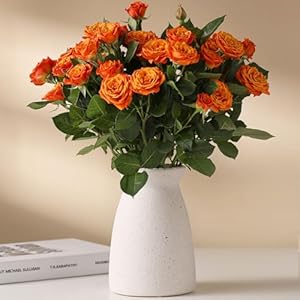 hjn White Flower Vase- Ceramic Vase for Decor, White vase for Flowers, Modern Vases for Living Room/Home Decor Accents/Entryway/Mantel/Bookshel-Frosted White hjn White Flower Vase Ceramic Vase for Decor White vase for Flowers Modern Vases for Living RoomHome Decor AccentsEntrywayMantelBookshel Frosted White