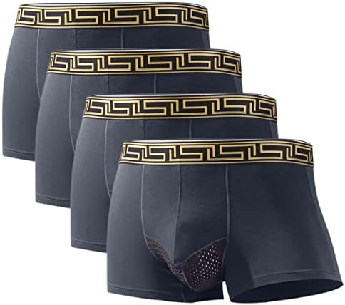 Men's Boxer Briefs Moisture Wicking Trunk Underwear with Mesh Pouch, 4-Pack (Grey,Large)