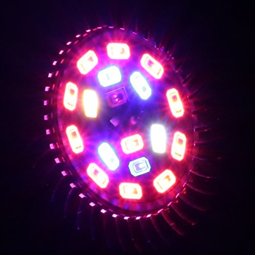 King-Mini 9W Led Grow Light Blub Full Spectrum Plant Growing Lamp For Indoor Plant Growing Flowering E27 Ac 85~265V #TOP6