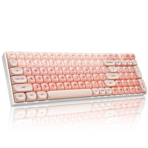 ZORNHER ZH100 Foundation Mechanical Keyboard,98% Pink...