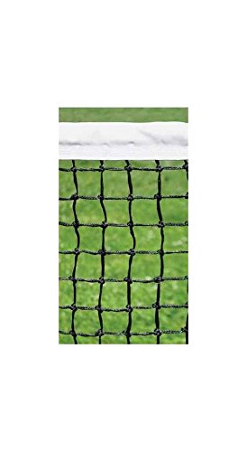 Collegiate Tennis Net