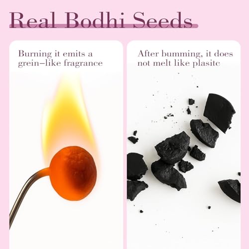 Natural Bodhi Seeds Beaded Bracelets, Zen Fidget Stretch Bracelet Alleviate Anxiety Stress, Protection Healing Bodhi Bracelet with Gift Box for Women Men4