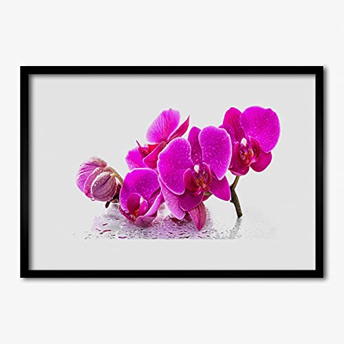 Fleurs de panse affiche encadrée pour habiller un grand mur vide 70x50