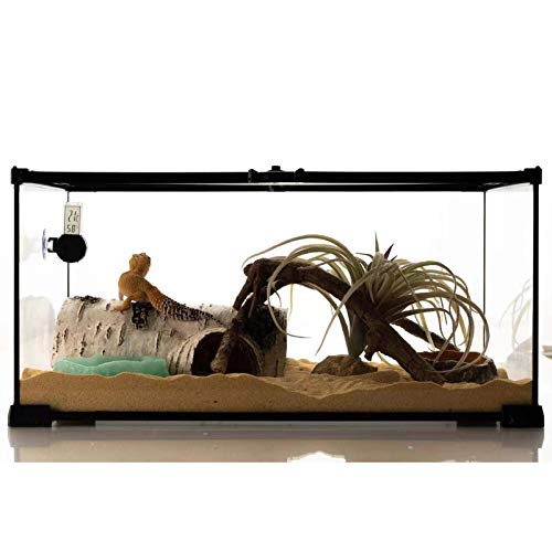 Reptile Food Water Rock Bowls - Luminous Amphibian Feeding Dish, Resin Rock Worm Feeder Terrarium for Lizards, Chameleon, Leopard Gecko, Frog, Bearded Dragons, Snake, Hermit Crabs, Turtle Spider Pet - Thumbnail 7