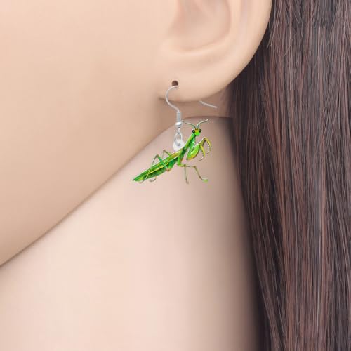 NEWEI Acrylic Insect Bug Earrings Dangle Praying Mantis Jewelry for Women Animal Lovers Funky Gifts (Praying Mantis A)2