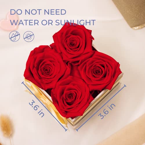 AROMEO Red Roses Gift That Lasts - Valentines Day Gifts. Preserved Fresh Flowers for Delivery Prime. Mothers Day Gifts, Roses for Her, Girlfriend, Wife, Birthday, Women Gift. Forever Roses Fresh Cut
