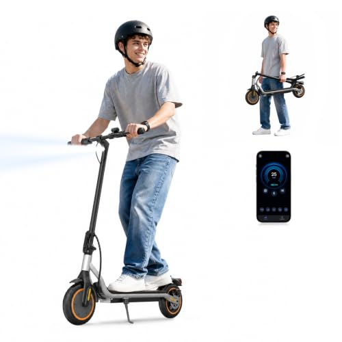 Foldable Electric Scooter 500W Peak
