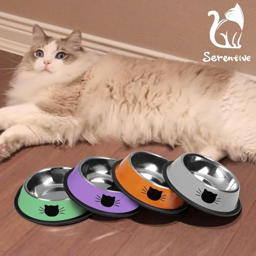 Serentive 2 Stück rutschfeste kleine Katzenfutternäpfe aus Edelstahl, unzerbrechlicher, Dicker Katzenfutterspender, 200 ml Katzennäpfe, Abnehmbarer Gummiboden, leicht zu reinigen, Grau