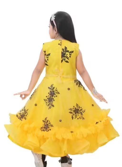 Image of Elegant Petal Flair Embroidered Party Frock for Girls