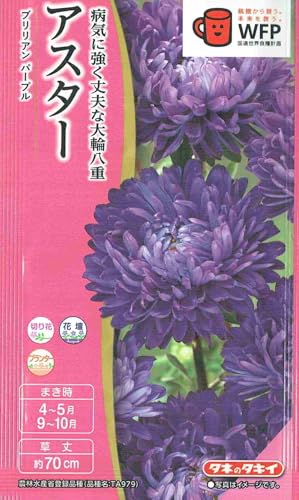 タキイ種苗 アスター ブリリアンパープルのタネ タキイ種苗 アスター ブリリアンパープルのタネ