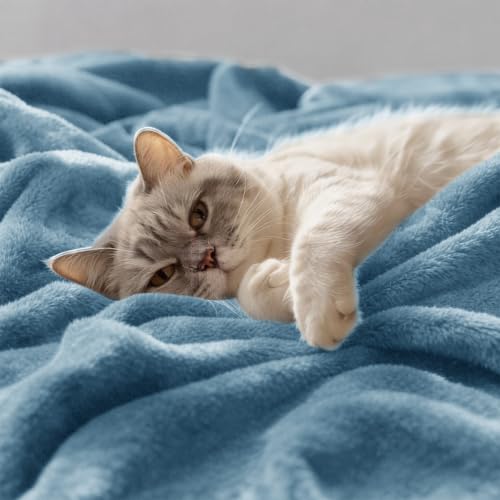 CozyLux Kuscheldecke Flauschig Decke 230x270 cm Blau – Ansicht 5