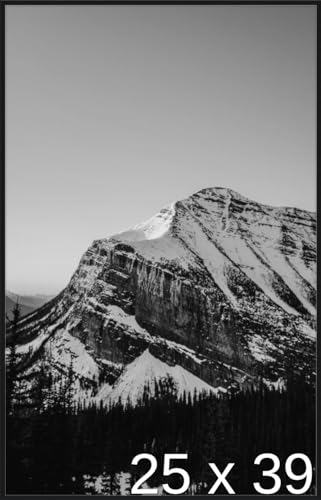 Frame It Easy 25 x 39 Satin Black Metal Frame (Ashford)