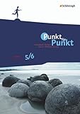  Punkt für Punkt: Lesen - Texte verstehen 5/6 (Punkt für Punkt: Individuell fördern durch Differenzierung)