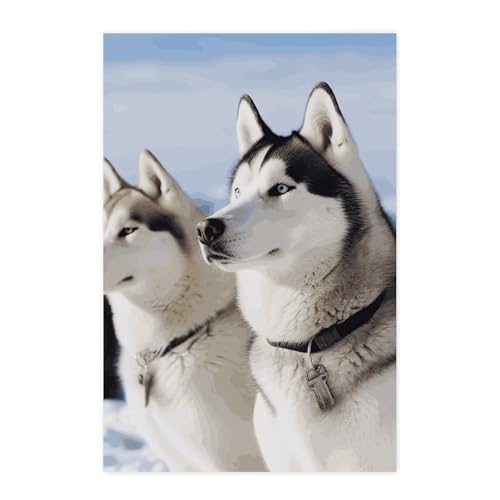Poster mural vintage motif chiens husky deco chambre à coller