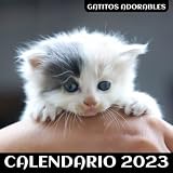  Calendario español de 2023 - Gatitos adorables: Calendario de España 2023. Calendario de 12 meses con festivos nacionales. Almanaque pequeño de pared ... Regalo para amigos y familiares. 21x42 cm