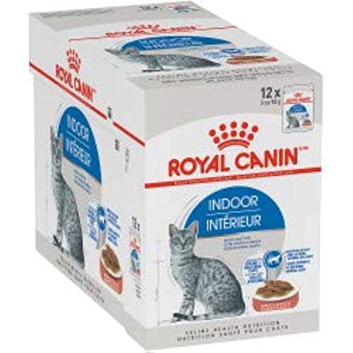 Royal Canin Indoor Long Hair Die 16 besten Produkte im Vergleich