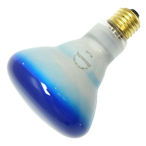 Bulbrite Incandescent BR30 Medium Screw Base (E26) Light Bulb, 75 Watt, Blue