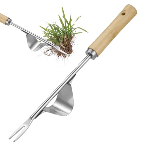 Zocipro Unkrautstecher, Wurzelzieher Edelstahl, Handjätgerät für den Garten, Hand Unkrautstecher, Unkrautgabel mit Holzgriff,Manueller Weeder zum Graben,Jäten,Lösen,Geschenk für Gärtner Gärtnerinnen
