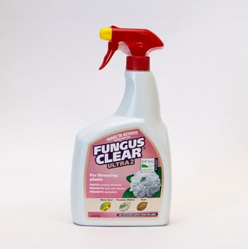 RYYN® Fungus Clear Ultra 2 Ready to Use 800ml Spray Fungicide for Roses Ornamentals Kills Blackspot Powdery Mildew Rust Systemic