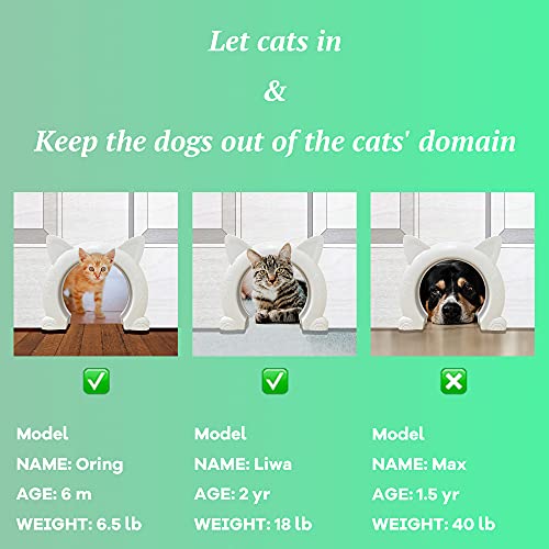 Aetapeti Cat Door For Interior Door, Fit Cats 5-20Lbs, Pet Door With Screws, Interior Door Cat-Back Friendly Pet Doors For Cats, Install Easily Interior Cat Door Without Flap #TOP2