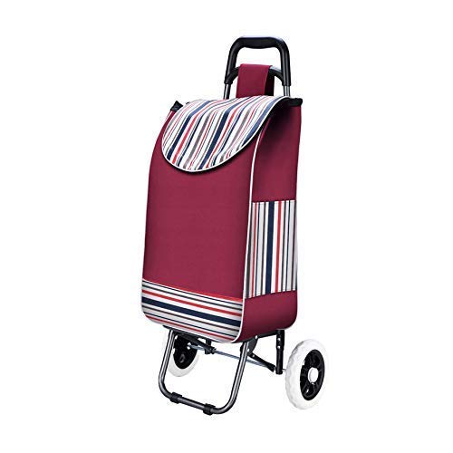 Panier de Magasinage pour Éviter les Sacs Lourds avec ce Chariot Pliant