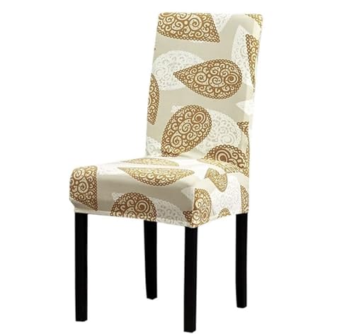 Image of House of Quirk Elastic Chair Cover Stretch Removable Washable Short Dining Chair Cover Protector Seat Slipcover ((Pack of 1, Gold Paisley))