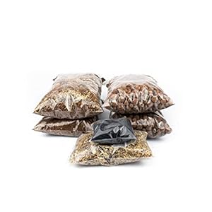 DIY Closed terrarium kit | Tropical L