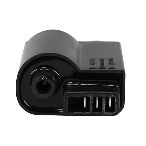 cyclingcolors Zündspule motorrad moped roller mofa kompatibel mit piaggio zip typhoon nrg gilera stalker runner