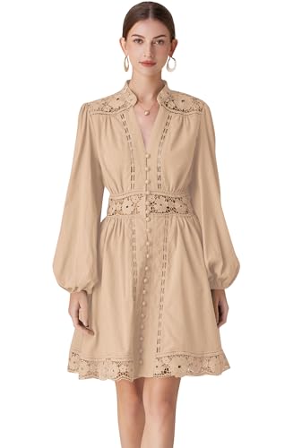 Image of LAI MENG FIVE CATS Women's V-Neck Elegant Lace Long Sleeve Lantern Sleeve Button up Casual Mini Dress