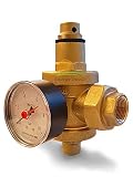 Riduttore di pressione in ottone per acqua calda ad azione diretta (1/2" F)