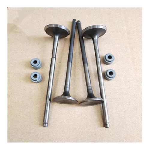 Joint d'huile tige moteur moto LF250 anti fuite huile et fumée