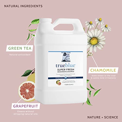 TrueBlue-Grapefruit-Chamomile-Concentrated-Deodorizing-Dog-Shampoo–Cleansing-Wash-Moisturizing–Toxin-Free-Natural-Botanical-Blend–Tearless–1-Gallon TrueBlue Grapefruit Chamomile Concentrated Deodorizing Dog Shampoo–Cleansing Wash Moisturizing–Toxin Free Natural Botanical Blend–Tearless–1 Gallon