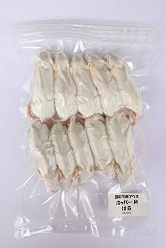 Amazon | 冷凍マウス B品 ホッパーM 10匹 国産 SAafrm | SAfarm