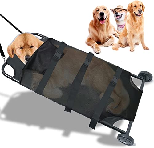 Brancard de transport pour animaux | Civière d'urgence chien 45x22 pouces