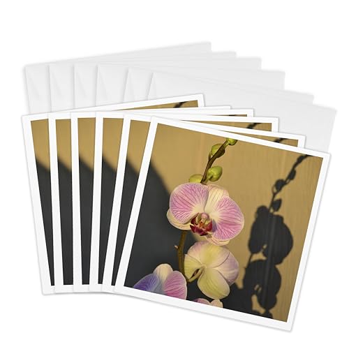 Cartes de vœux orchidée rose 3dRose, coffret cadeau de 6 cartes avec enveloppe