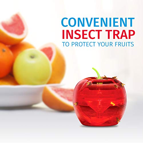 Raid Fruit Fly Traps 2 Lures + 2 Refills Effective Indoor Killer & Gnat Traps