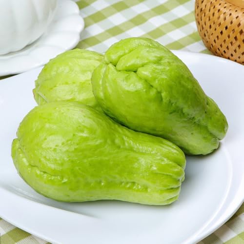 Semillas de chayote, Sechium edule, semillas de hortalizas de invierno semillas exóticas semillas orgánicas, semillas de jardín semillas de jardín, árboles frutales semillas de 120pcs