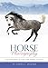 Horse Photography: The Dynamic Guide for Horse Lovers