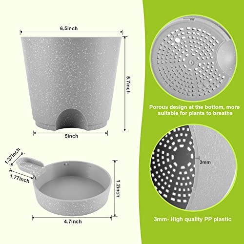 Ten-stone-Plant-Pots-5Pcs-65-Self-Watering-Planters-African-Violet-Pots-with-Attached-Tray-Reservoir-and-Watering-Lip-for-Most-Indoor-Outdoor-Plants-and-Flowers-Grey-65inch Ten-stone-Plant-Pots-5Pcs-65-Self-Watering-Planters-African-Violet-Pots-with-Attached-Tray-Reservoir-and-Watering-Lip-for-Most-Indoor-Outdoor-Plants-and-Flowers-Grey-65inch